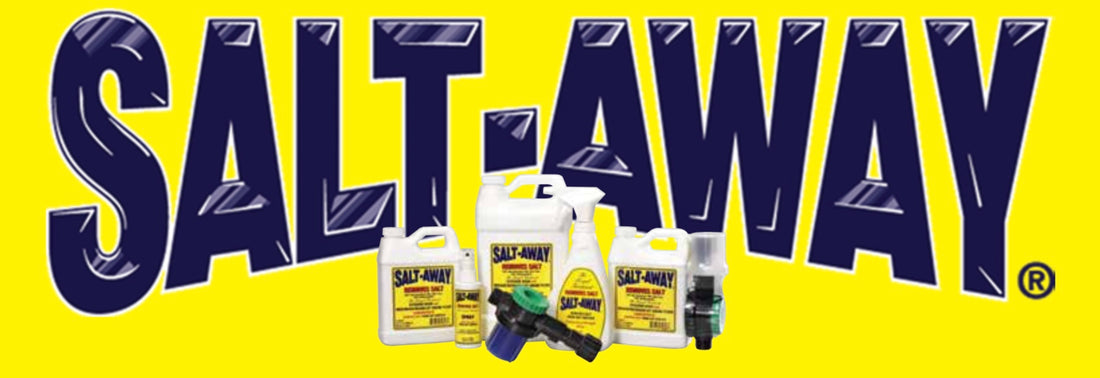 Salt Away