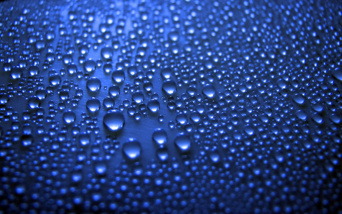 wax, car wax, detailing wax, best wax